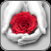 Color Blast Color Splash and Photo Recolor Effects for Facebook Instagram and more
