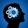 Who is the Smartest? (WITS) Vocabulary app icon