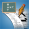 Across Crossword Trainer app icon