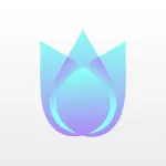 iQuikDoF Pro App icon