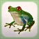 FROG MINUTES App icon