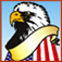 American Quiz Pro for iPhone app icon