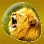Animals 360 Gold App icon