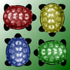 Turtle Racing app icon