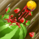Amazing Fruit Shooter app icon