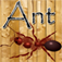 Ant Crusher Game HD app icon