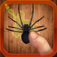 Spider Smasher Bugged app icon