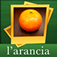 Italian Word Game app icon