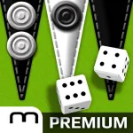 Backgammon Gold PREMIUM App icon