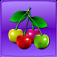 Fruit Master Lite app icon