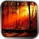 Redwoods Adventure App icon