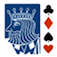 MiniBridge App Icon
