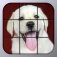 Puppy Tiles app icon