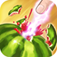 Ace Fruit Mania app icon