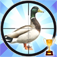 Duck Hunter Reloaded app icon