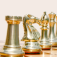 Chess Tactics app icon