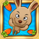 Lab Bunnies app icon
