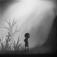 Nightmare -Escape- app icon