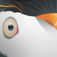 Zoo Escape app icon