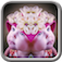 MirrorCamFx
