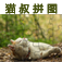 猫叔拼图HD app icon
