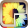InstaPuz app icon
