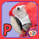 Preschool letters: What Animal is Hiding Behind the ABC App Icon