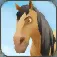 Horse Life Adventures Free App icon