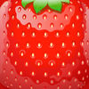 Crushing Berries app icon