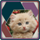 HexSaw app icon