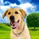 A Pet Dog App icon