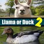 Llama or Duck Quiz 2 App icon