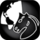 Chess Mini app icon