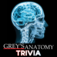 Trivia Blitz app icon