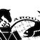 Riddle Pics app icon
