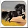 A Pet Horse Maker Booth App Icon