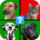 Odd 1 Out Quiz app icon