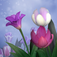 Hidden Garden Meadow app icon