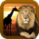 Shape Game Wildlife Photo app icon