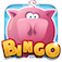 Bubble Bingo Casino app icon