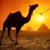 Hidden Image 100 Wonders app icon