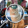 Hidden objects Missing Lulu app icon