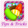 Tips & Tricks 4 Candy Crush app icon