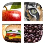 Close Up Food App Icon
