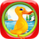 Duck Dash Fall of Gravity Pro App Icon