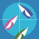 Sailing Tactics app icon
