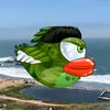 Flappy Go  The Classic Adventure of a Poke Bird