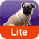 Farting Pug Lite app icon