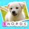 3 Words: Cute Animals – a word game based on cuddly animal pictures app icon