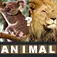 Animal Quiz  Guess the most famous animals farm jungle savannah domestic forest new fun puzzle